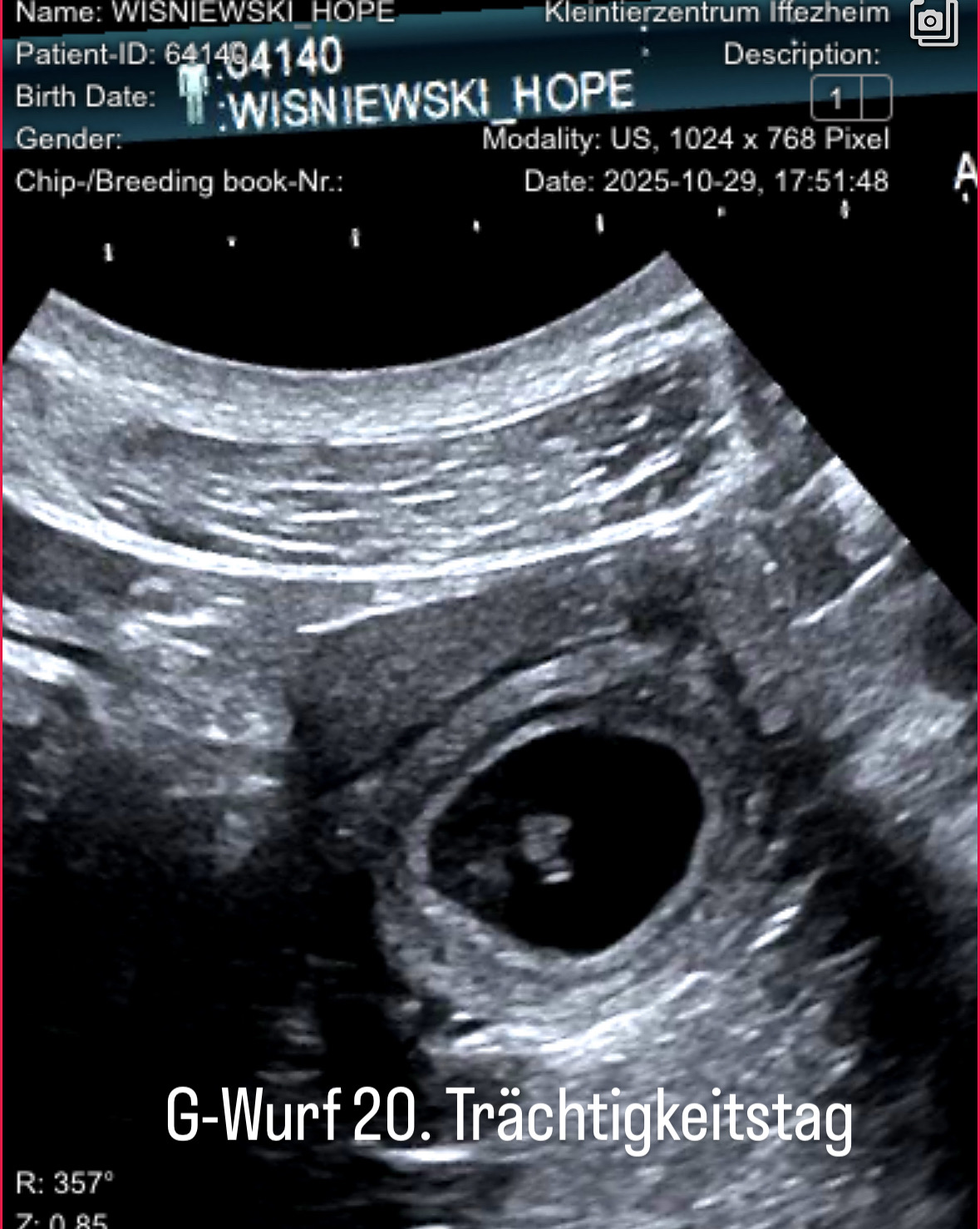 C79DBE79-E01A-4182-A3F3-E636A47D5DB2